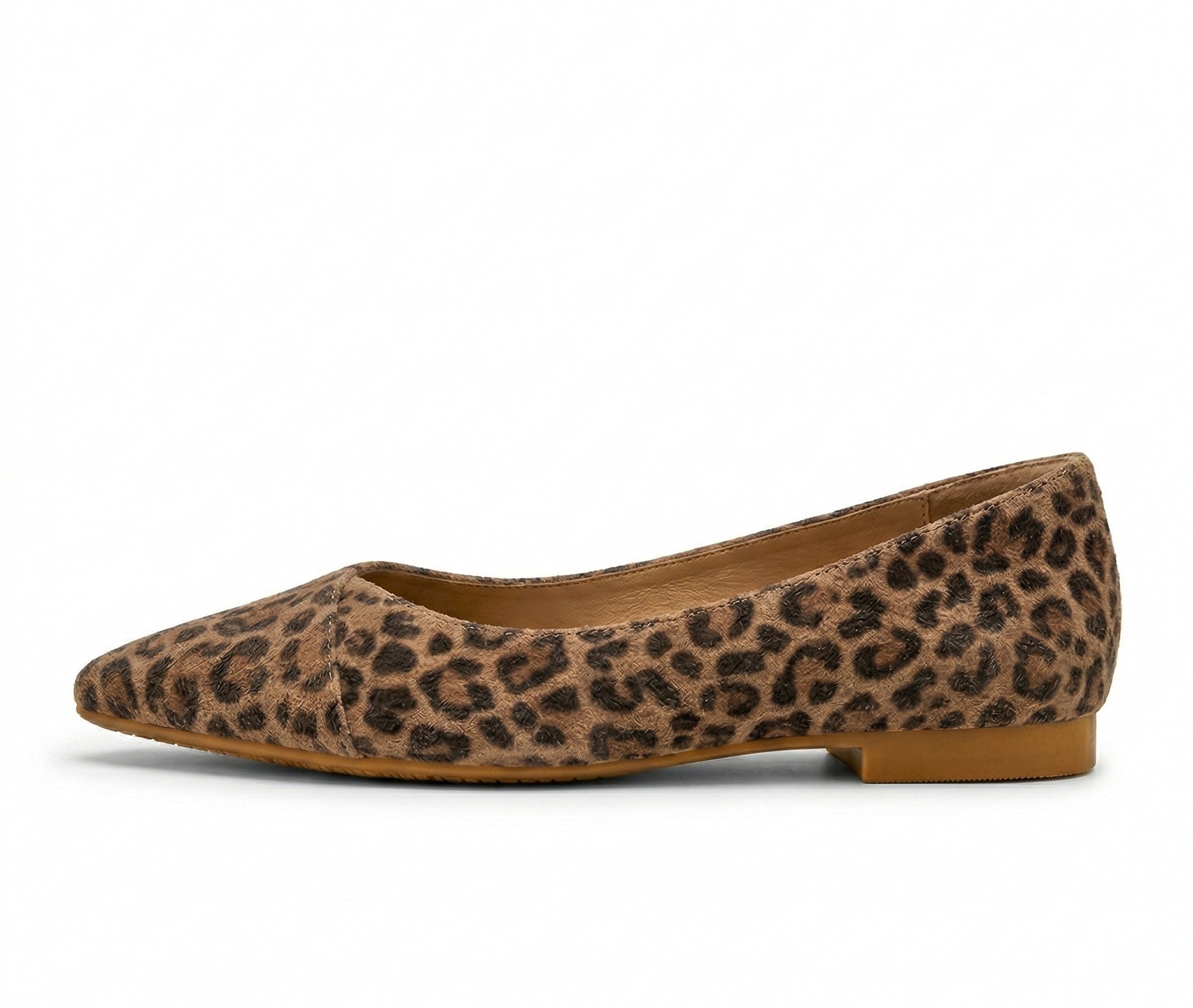 The Statement Flat - Starwides